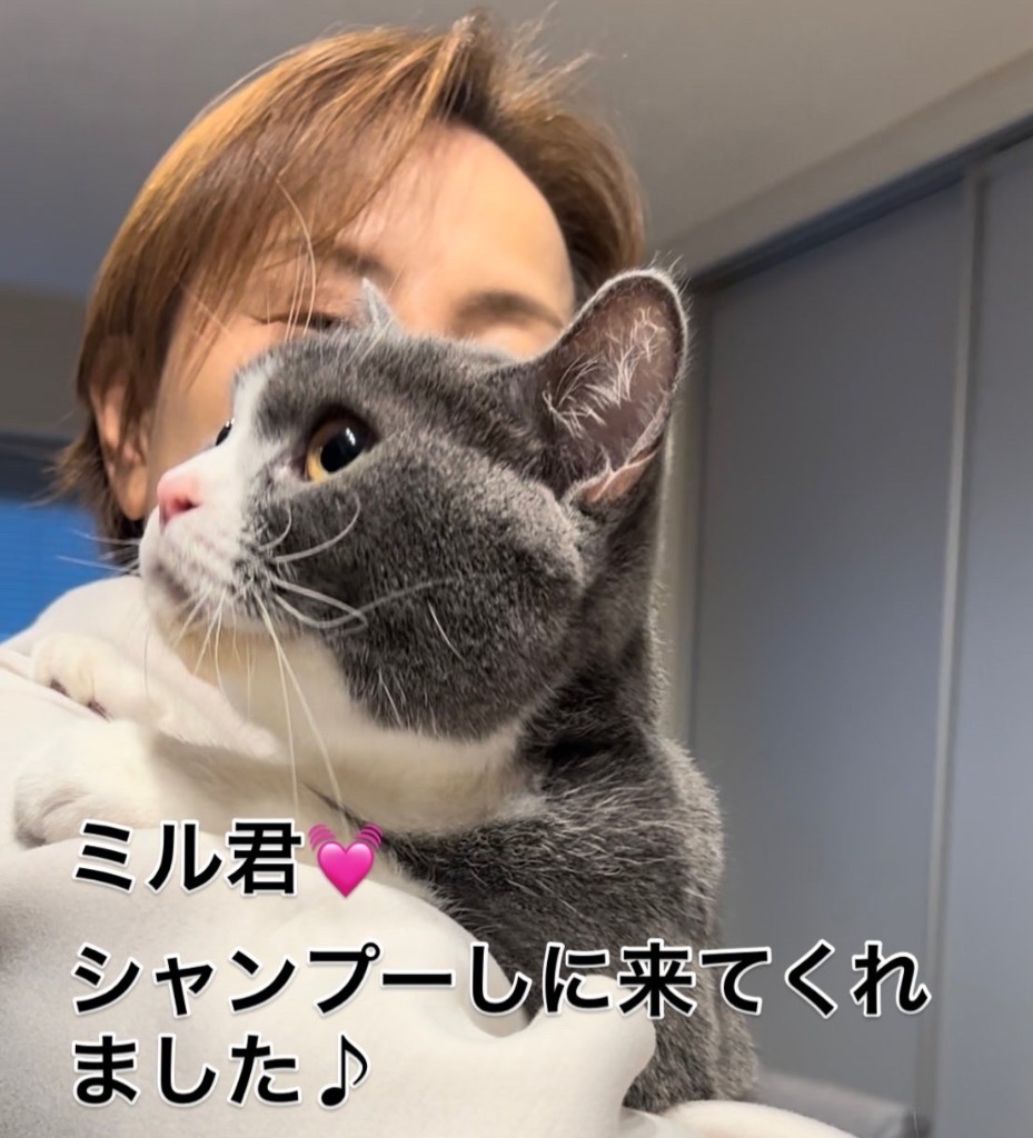 シャンプートリミング